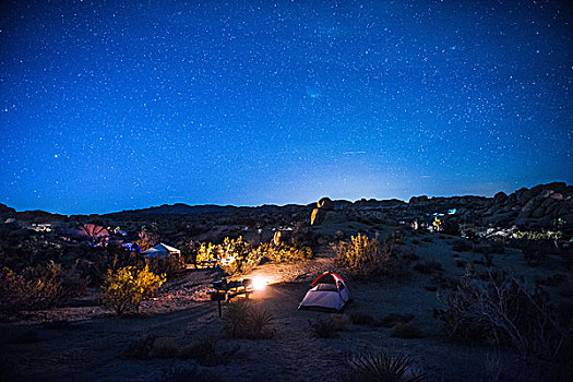 露营,场所,夜晚,约书亚树国家公园,加利福尼亚,美国