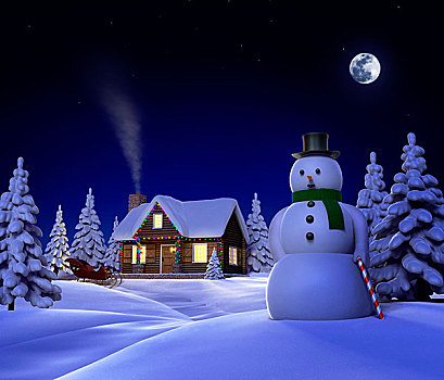 圣诞节,雪,展示,雪人,雪撬,夜晚