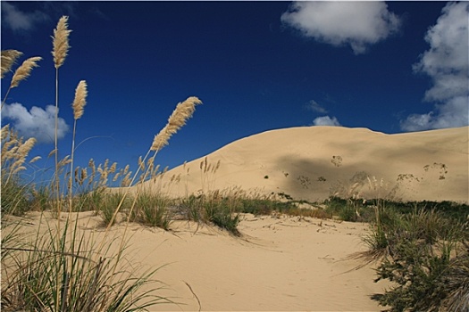 巨大,沙丘,雷因格海角