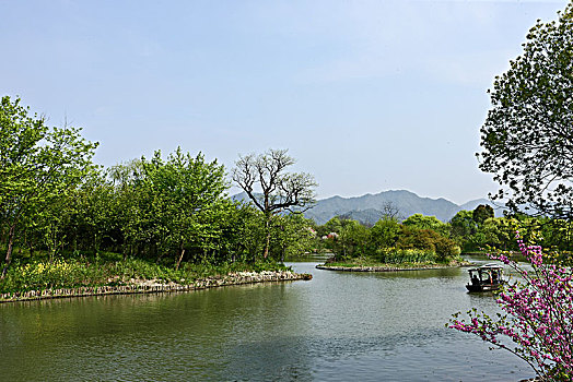 春天的杭州西溪湿地