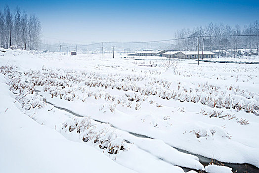 中国河南信阳乡村雪景