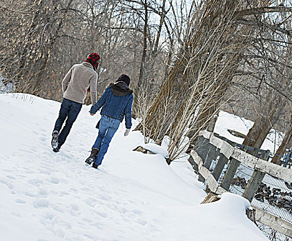 冬季风景,雪,地上,牵手,小路