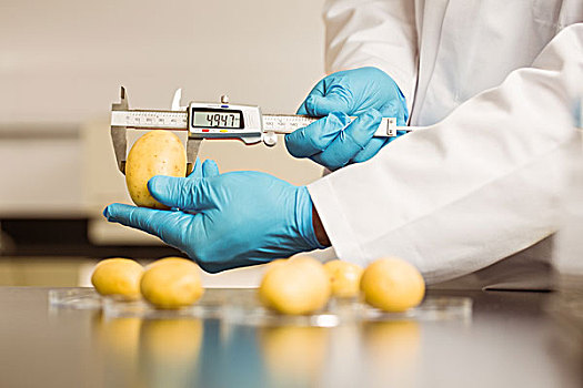 食物,科学家,测量,土豆