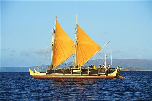 夏威夷,一对,去掉外皮,航行,独木舟,平静,海洋,商业,使用