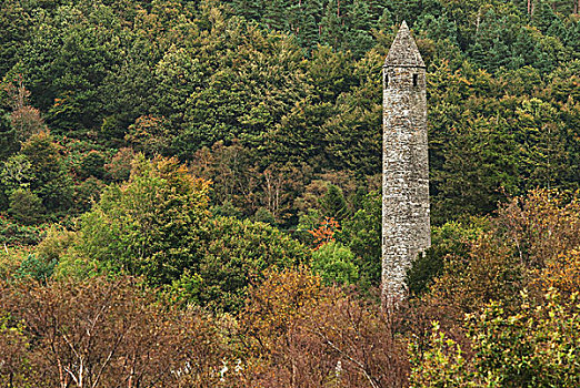 圆塔,树林,爱尔兰