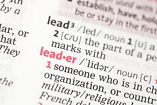 领导,定义,字典
