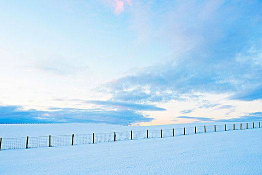 栅栏,积雪,土地,山,苏格兰