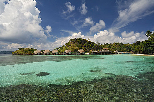 水,平房,岛屿,西巴布亚,印度尼西亚,亚洲
