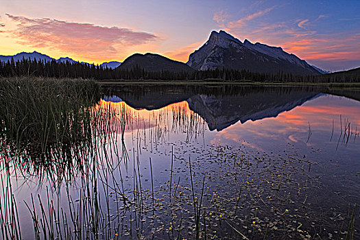伦多山,第一,朱红色,湖,艾伯塔省,加拿大