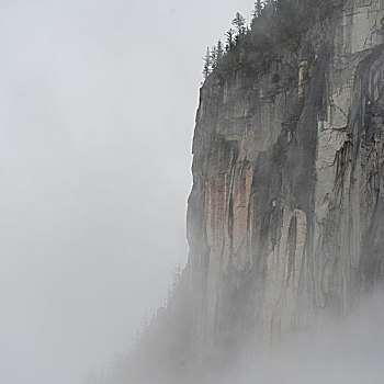 悬崖,围绕,雾,省立公园,不列颠哥伦比亚省,加拿大