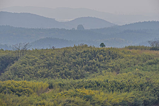 山,驴友,旅行,地质公园,丹霞地貌,灌木,水潭,素材,质感,设计,细腻,纹理,树