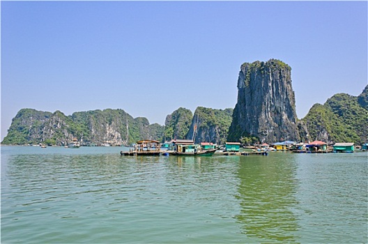 漂浮,渔村,下龙湾,越南