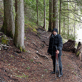 远足者,登山手杖,远足,树林,碧玉国家公园,艾伯塔省,加拿大