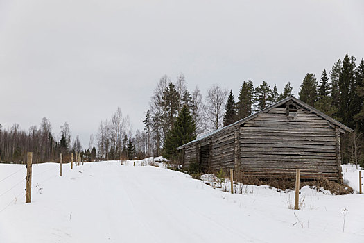 芬兰,区域,谷仓,冬天,雪