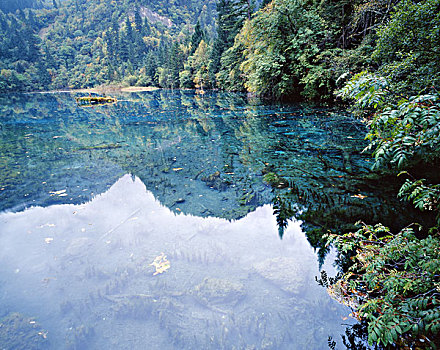 四川九寨沟水景,全景