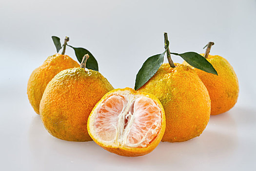 白色背景下的丑橘