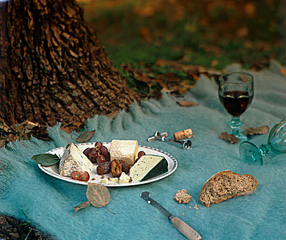 野餐,奶酪,葡萄,面包,葡萄酒