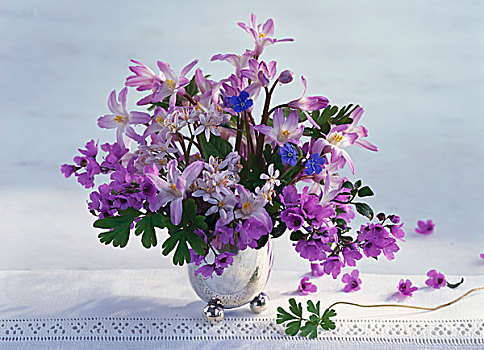 紫色,春之花束,花瓶,蕾丝桌布
