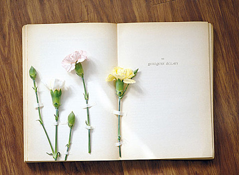花束,花,书本