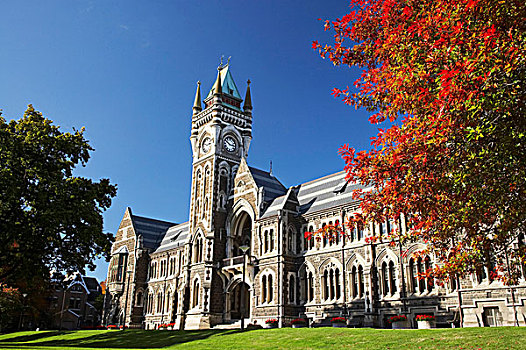 钟楼,注册,建筑,大学,奥塔哥,南岛,新西兰