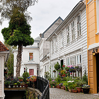 悬挂,花,篮子,花盆,彩色,户外,建筑,卑尔根,挪威