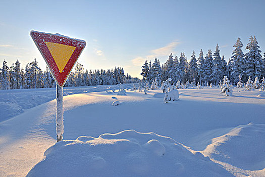 雪中,库萨莫,北方,芬兰