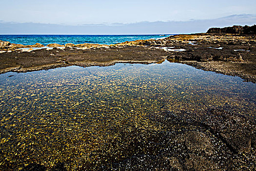 海岸线,兰索罗特岛,西班牙,水塘,石头,天空,云,海滩,水,夏天