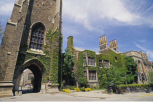 多伦多大学,多伦多,安大略省,加拿大