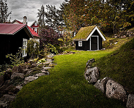 小,草皮,房子,后院,市区,雷克雅未克,冰岛