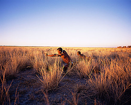 原住民,猎捕,草场,纳米比亚,非洲