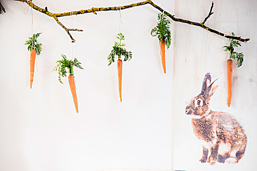 胡萝卜,叶子,枝条,靠近,兔子