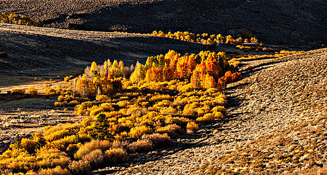 刈痕,秋天,橙色,河,排水,东方,山,大幅,尺寸
