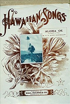 乐谱,夏威夷,歌曲,遮盖