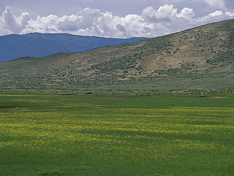 内蒙古赤峰赛罕乌拉自然保护区