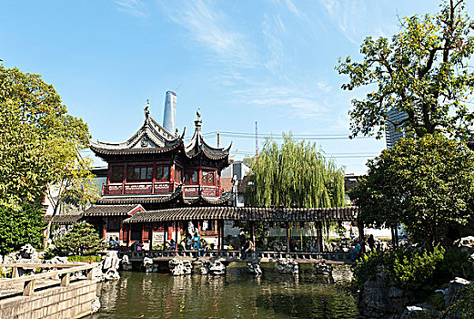 茶园,花园,上海,中国,亚洲