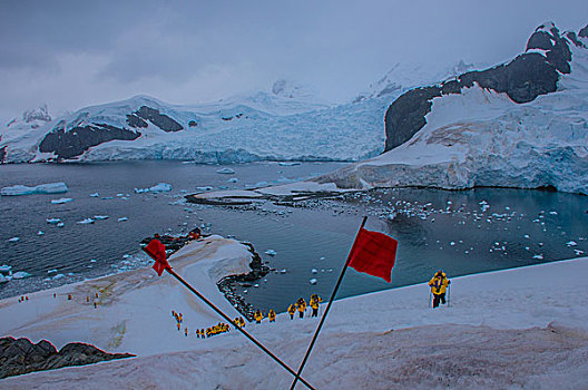 南极南乔治亚群岛冰川