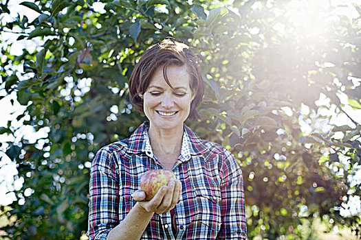 女人,格子衬衫,拿着,大,清新,苹果,果园,农场