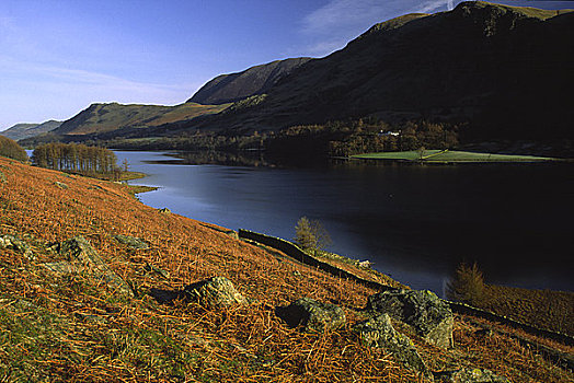 英格兰,坎布里亚,湖,对比,彩色,欧洲蕨,山,山峦