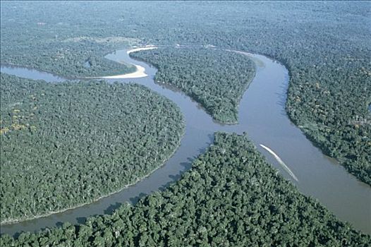 亚马逊河,丛林,航拍,巴西