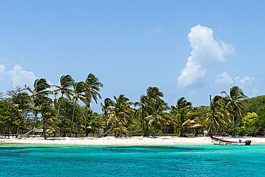 岛屿,自然保护区,多巴哥岛,圣文森,格林纳丁斯群岛,西印度群岛