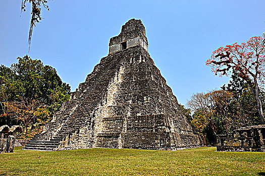 危地马拉,蒂卡尔国家公园,一号神庙,美洲虎金字塔