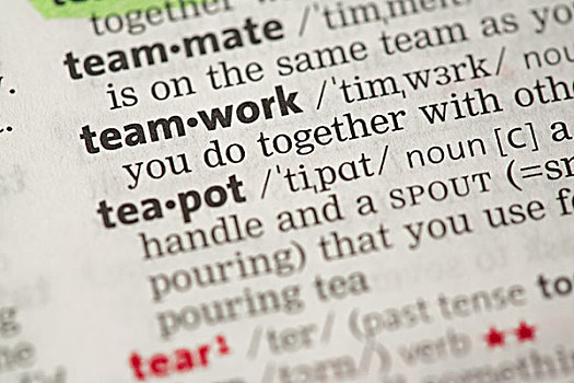 团队,定义,字典