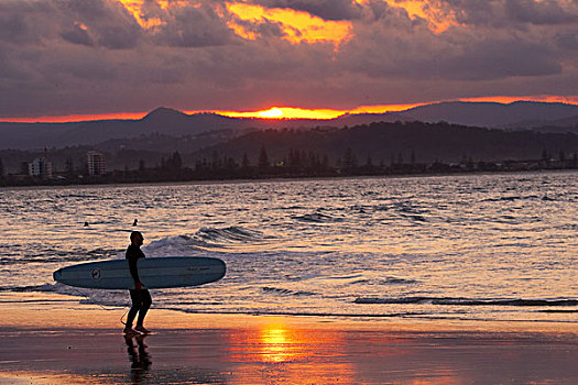 冲浪,日落,黄金海岸,昆士兰,澳大利亚