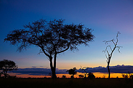 日落,露营,万基国家公园,津巴布韦,非洲