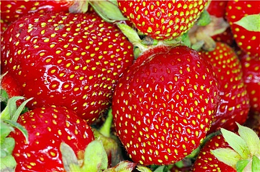 草莓,纹理
