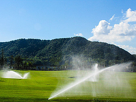 高尔夫草坪浇水维护