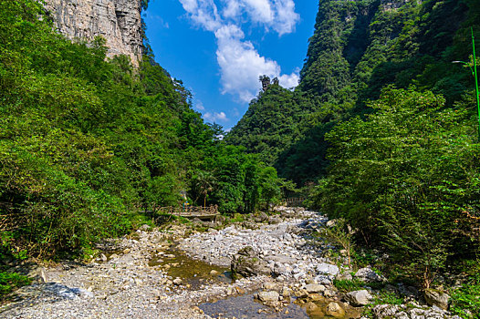 湖北宜昌三峡竹海夏日风光