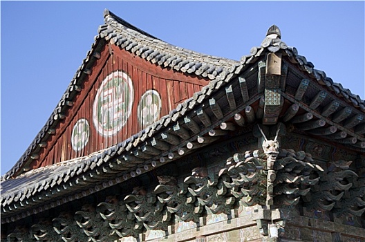 嫂子的职业韩国