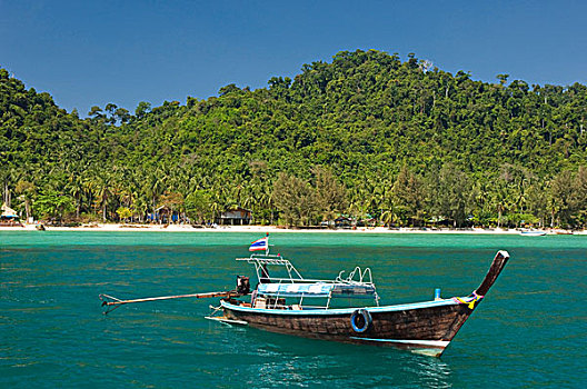 长尾船,海滩,手掌,树林,苏梅岛,岛屿,泰国,亚洲