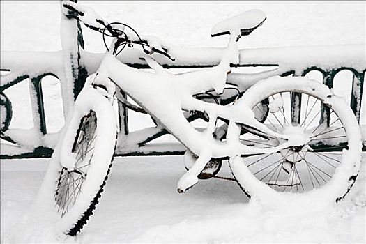 积雪,自行车
